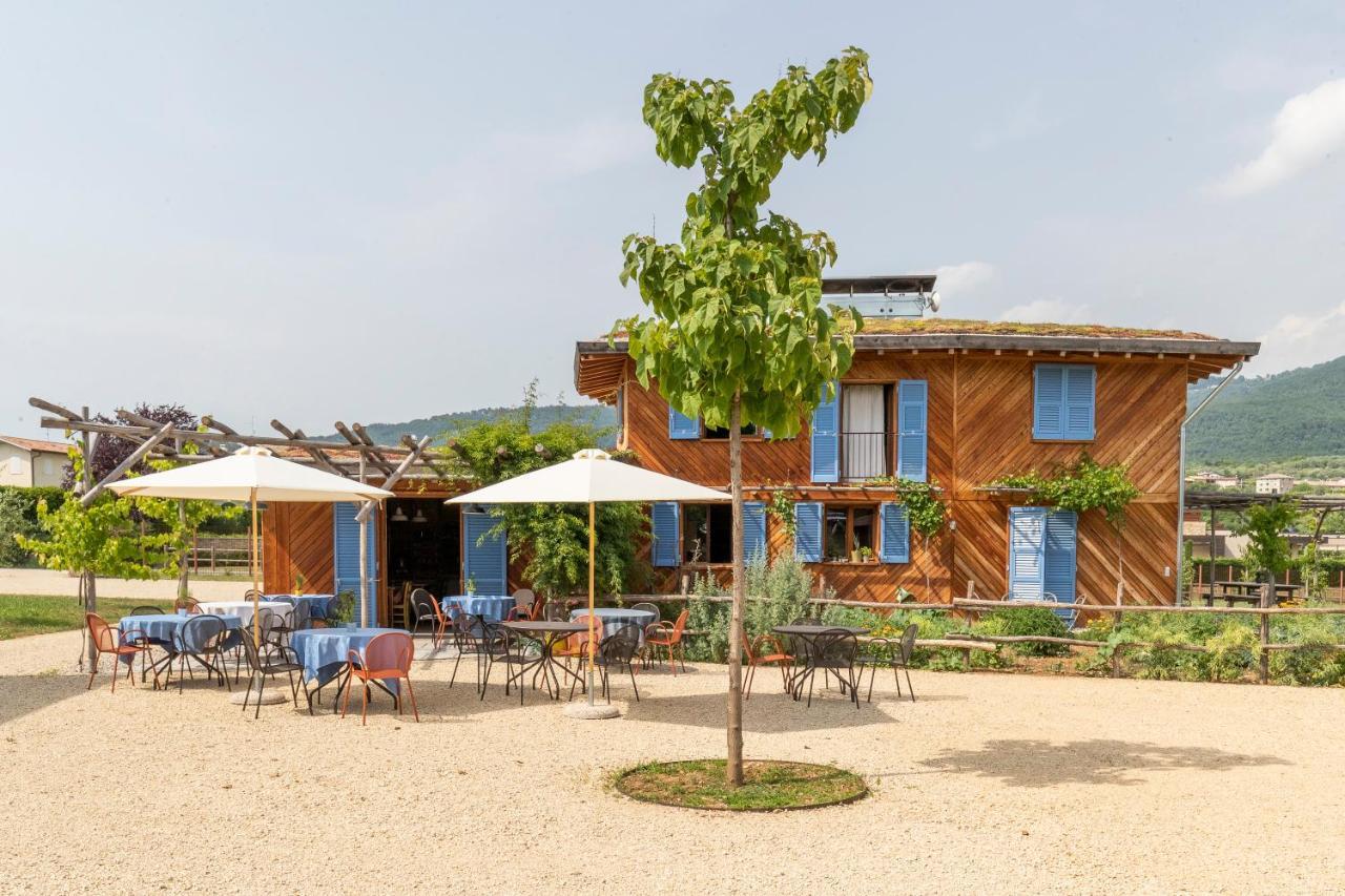 Casa Viva Bed & Breakfast Marciaga Exterior photo